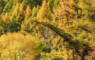 完全免费！爱丝图册里的花絮，快来飘过，可能找不到北