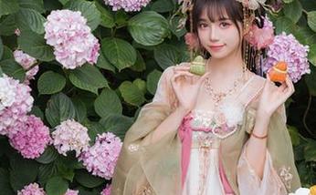 看吧，贰加六玩的是无圣光的写真，我这也开始对花嫁产生点小迷惑。